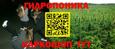 бошки Гагарин