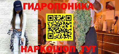 бошки Гагарин