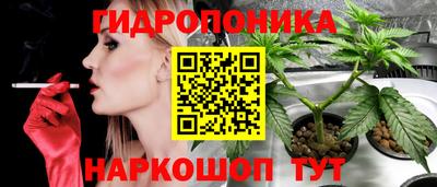 бошки Гагарин