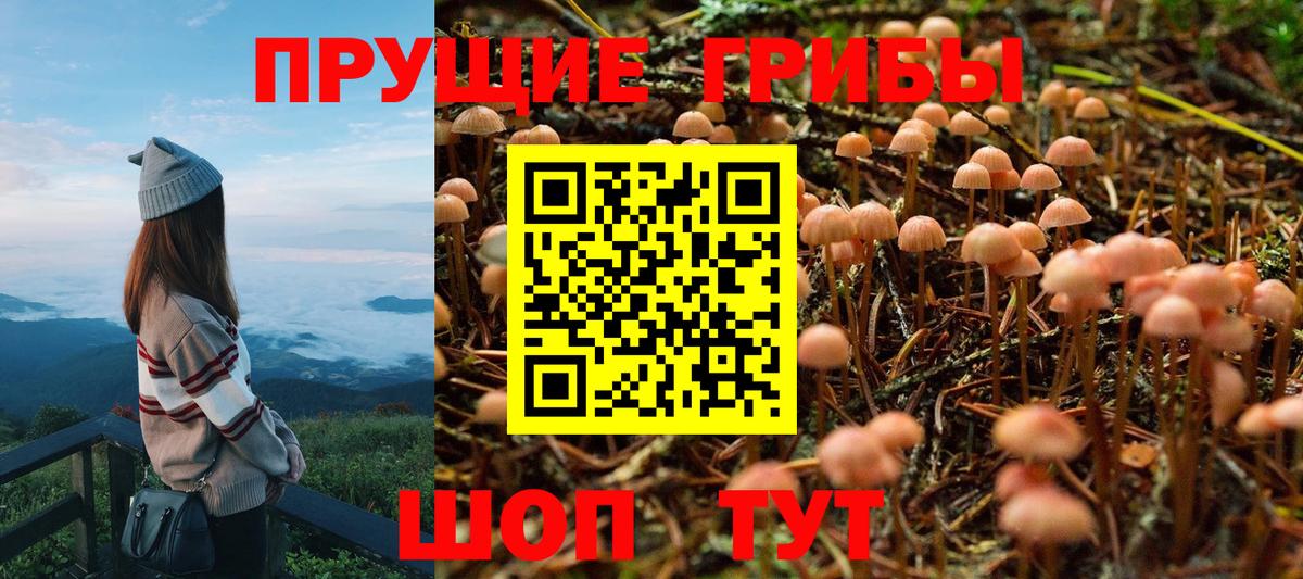 Галлюциногенные грибы MAGIC MUSHROOMS  Вход с VPN  Миллерово  где найти   Псилоцибиновые грибы Magic Shrooms 